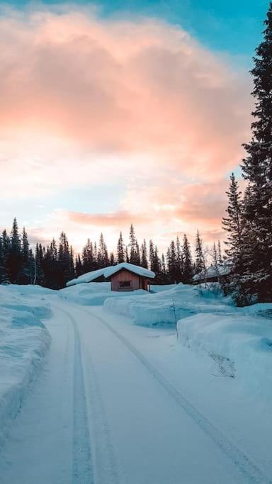Cozy Mountain Cottage With Beautiful Views & Sauna Beitostolen Экстерьер фото